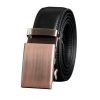 Fashion Leather Belt | ShopDecimals