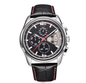 PAGANI DESIGN Berjani 3306 Quartz watch | ShopDecimals